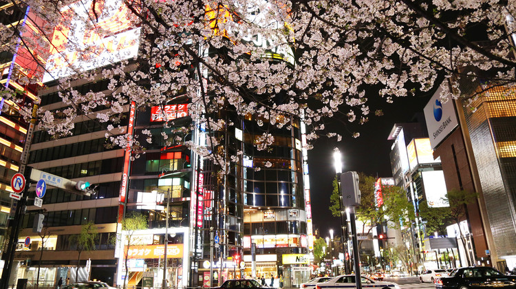 日本东京7日自由行 东瀛深度游7天6晚探游之旅热门商圈连住东京美食探店网红寿喜锅情迷海贼王乐园可选包车畅游富士 镰仓 横滨 畅游周边网红茨城漫天粉蝶花