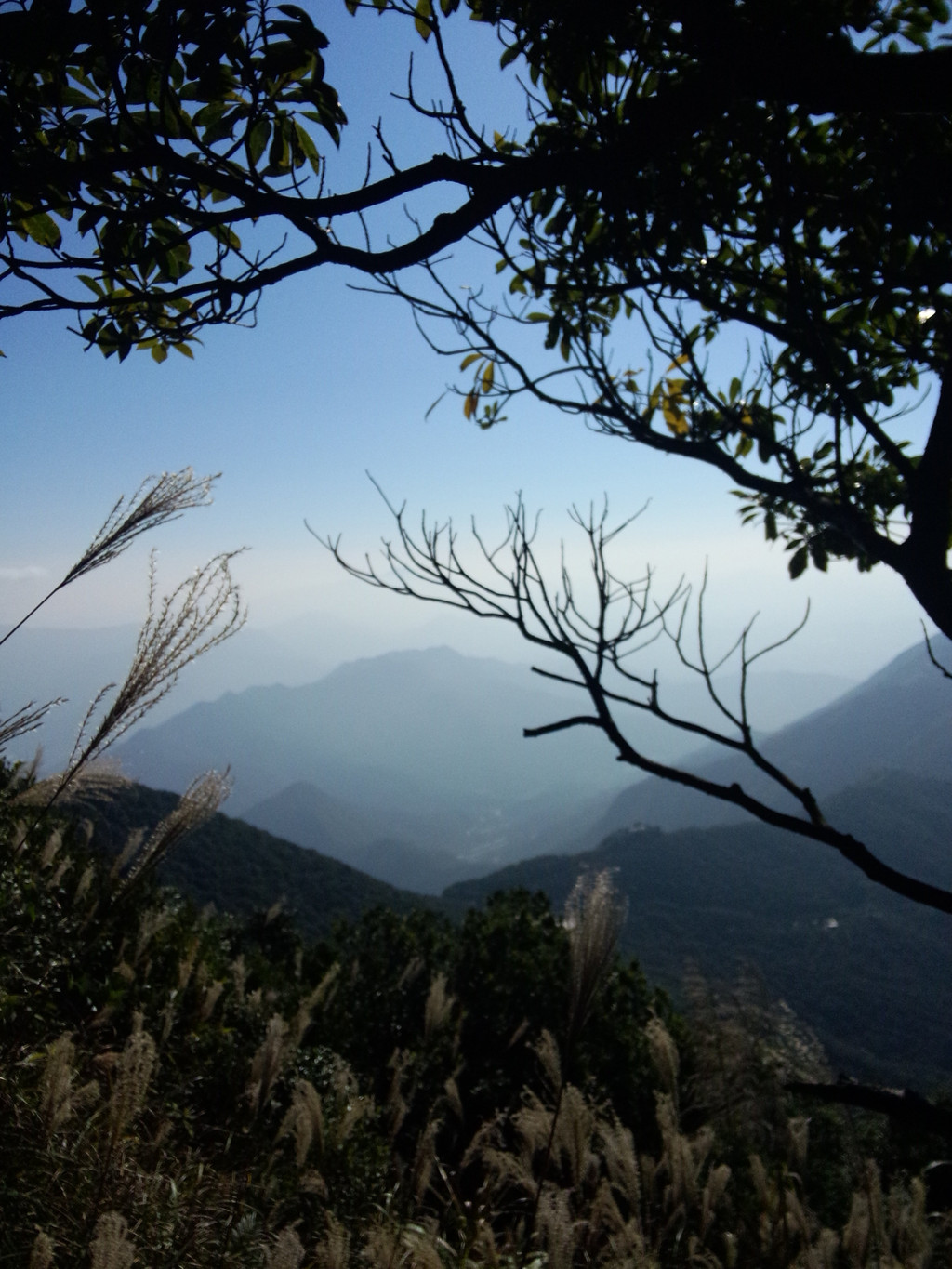 梧桐山——深圳最高峰