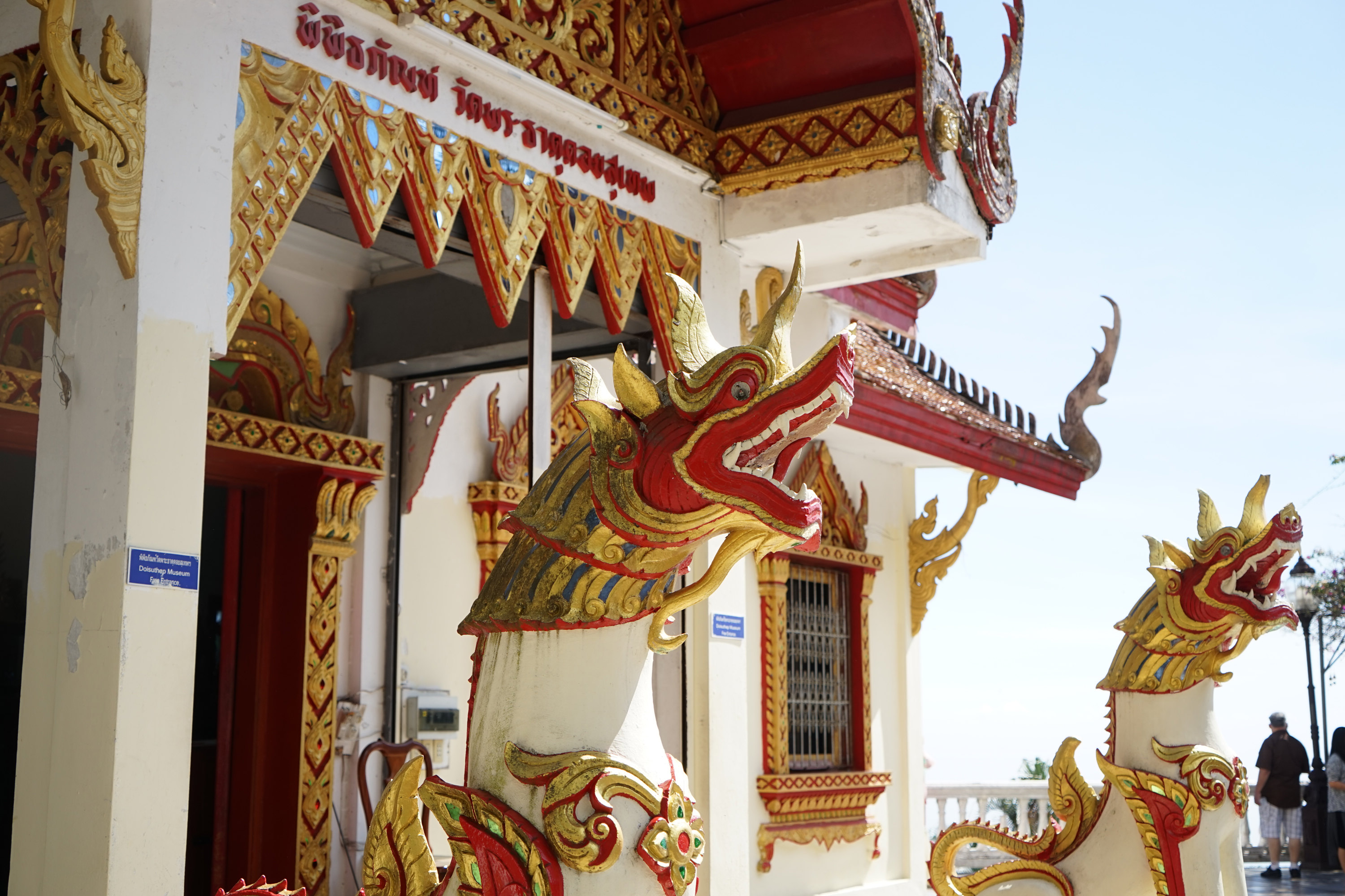 请问现在去是免签证了,清迈旅游