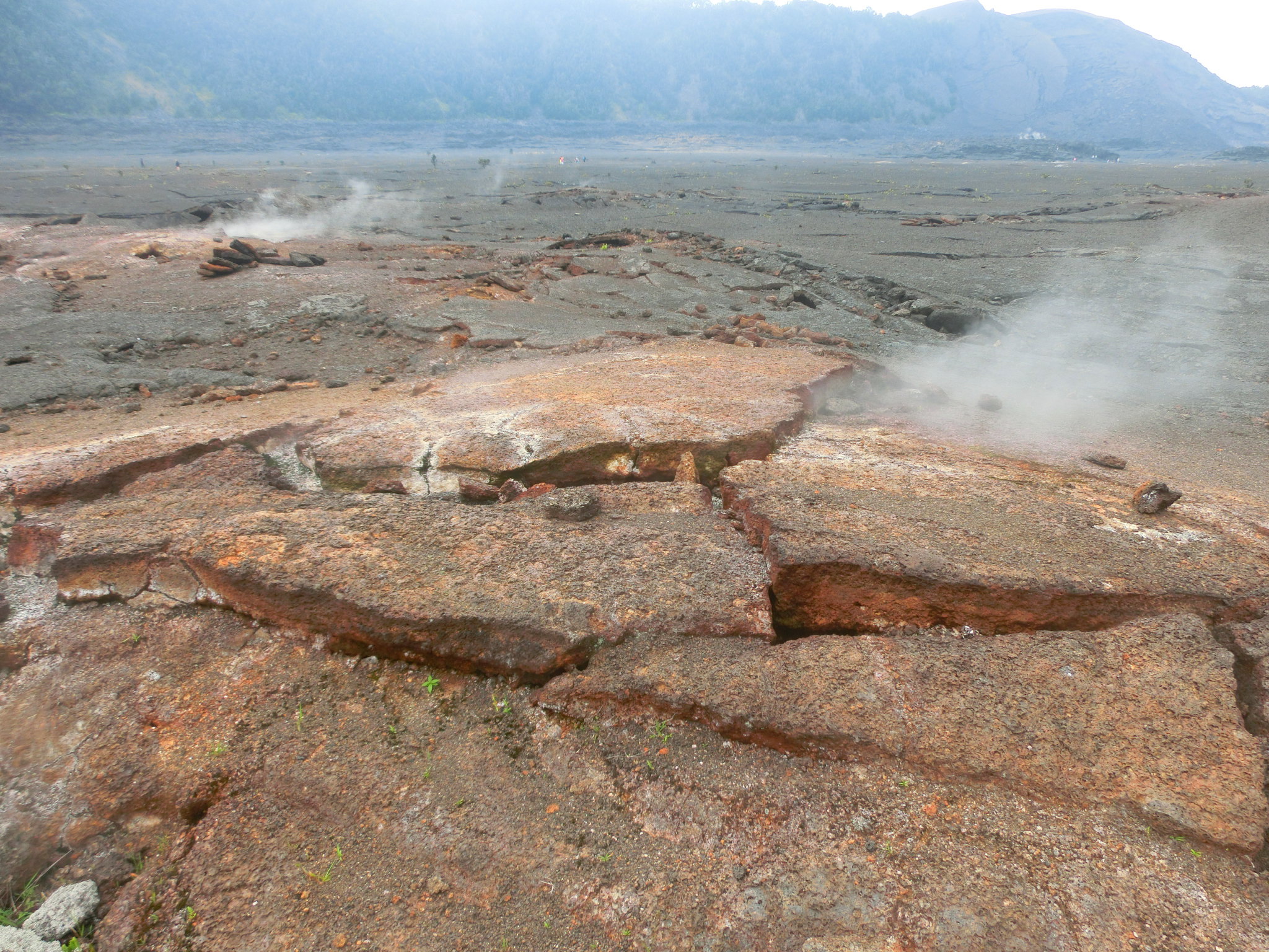 火山雨林大洋,每一天都是崭新的…青岛背包客夏威夷半月自由行(下)