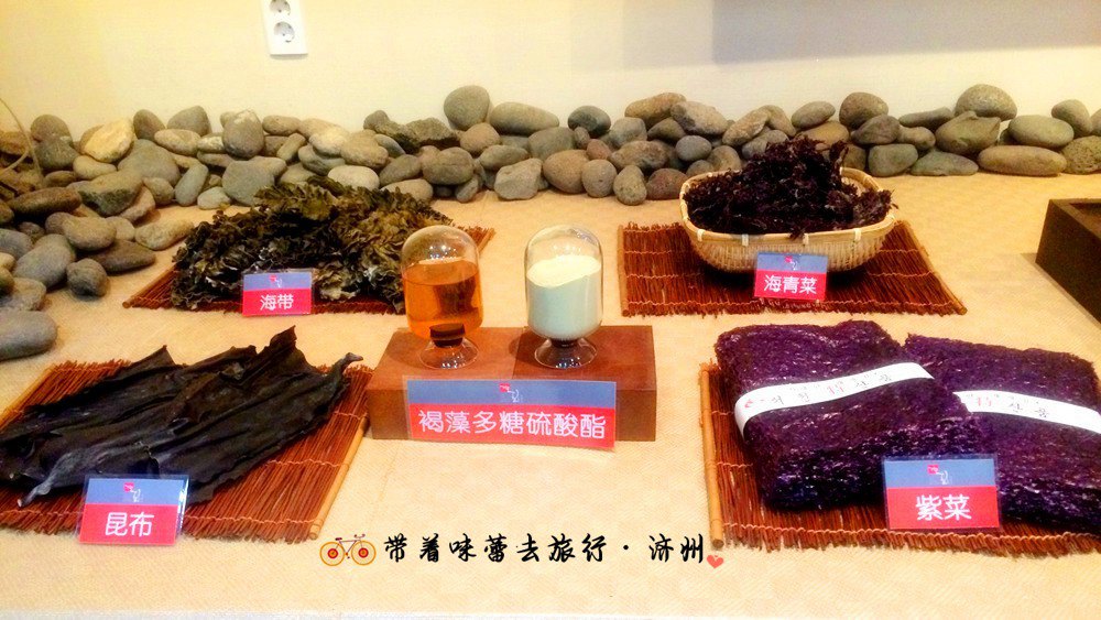 紫菜博物展示馆图片