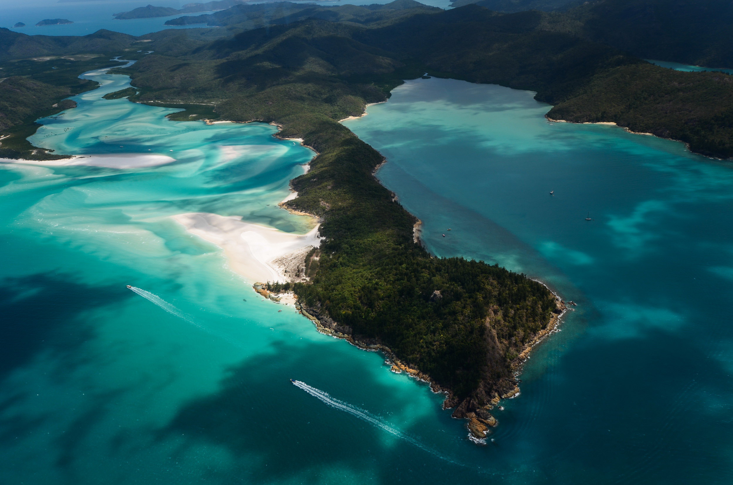 汉密尔顿岛汉密尔顿岛野生动物园机场