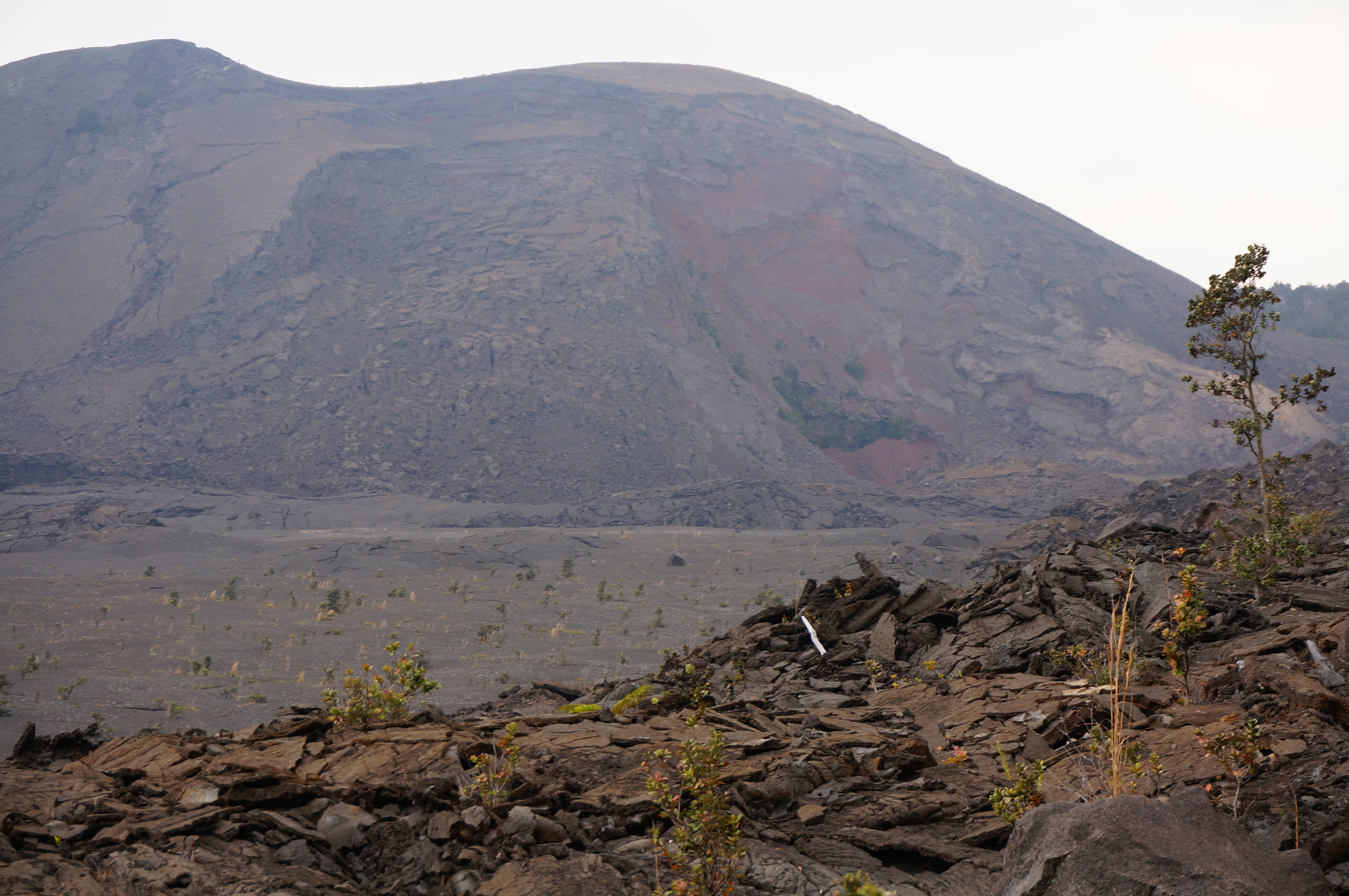 火山雨林大洋,每一天都是崭新的…青岛背包客夏威夷半月自由行(下)