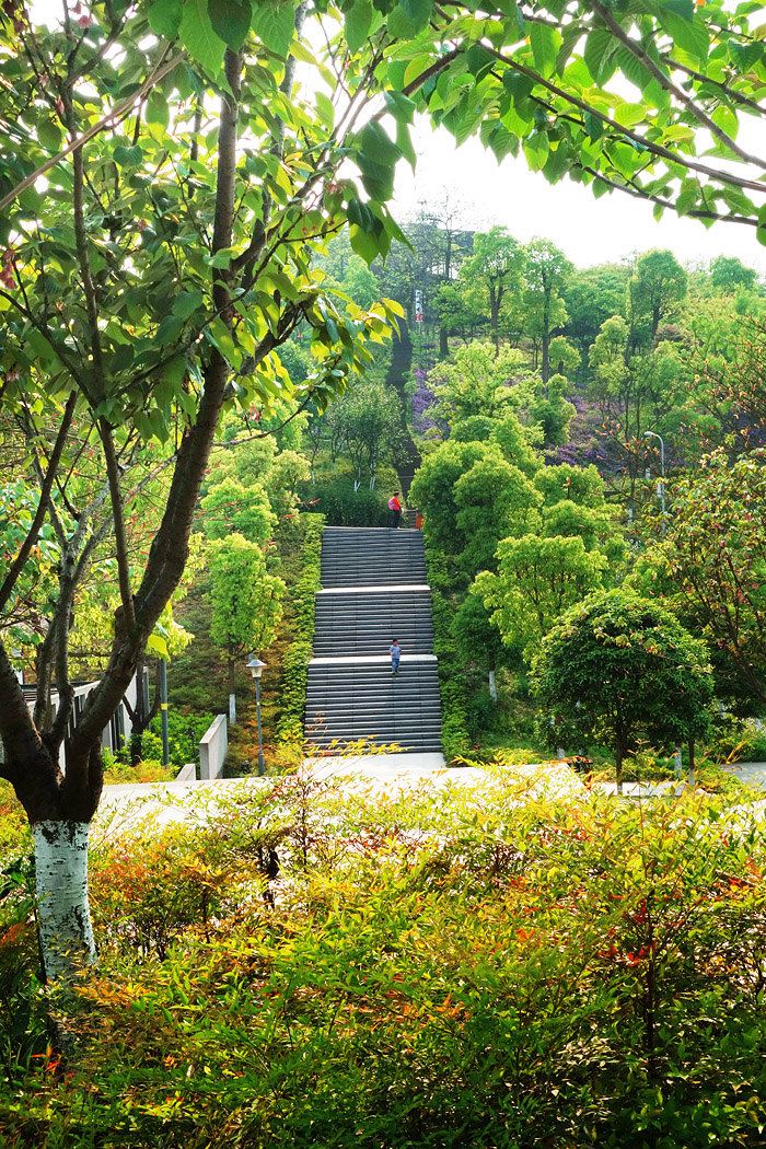 春遊涪陵白鶴森林公園