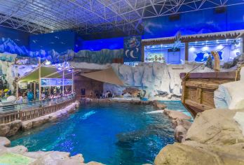 青岛极地海洋公园+赶海一日游/可选6人团【全程毫无自费，绝无购物】