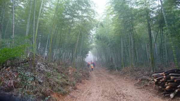 武陵岩峡谷