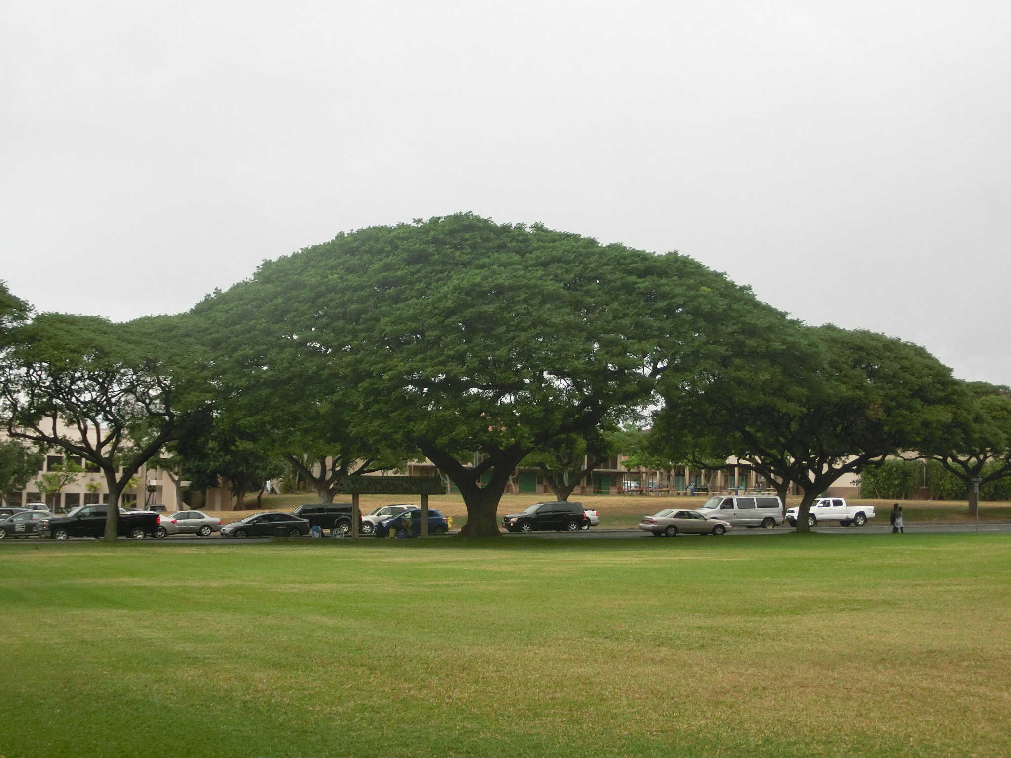 夏威夷马诺大学