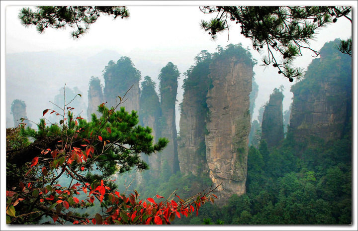 世界遺產自然奇觀,鬼斧神工的地下仙境(張家界之行親歷記)