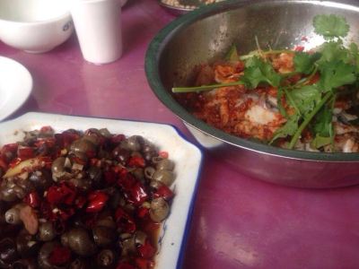 德信娱乐蜜柚相关食品资讯_食品伙伴网
