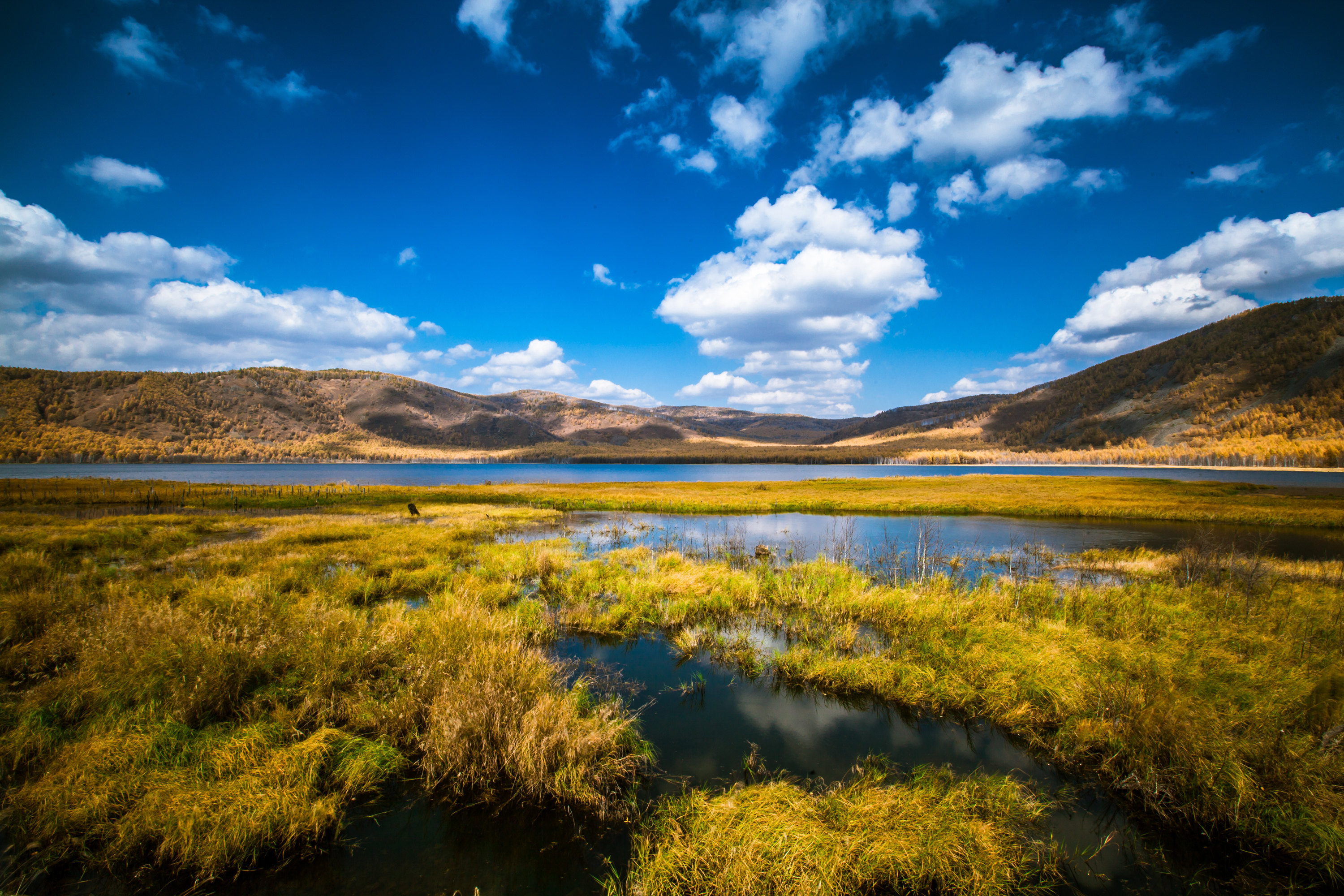 海拉尔 阿尔山 满洲里6日自由行·摄影 专享深度游 可选包车