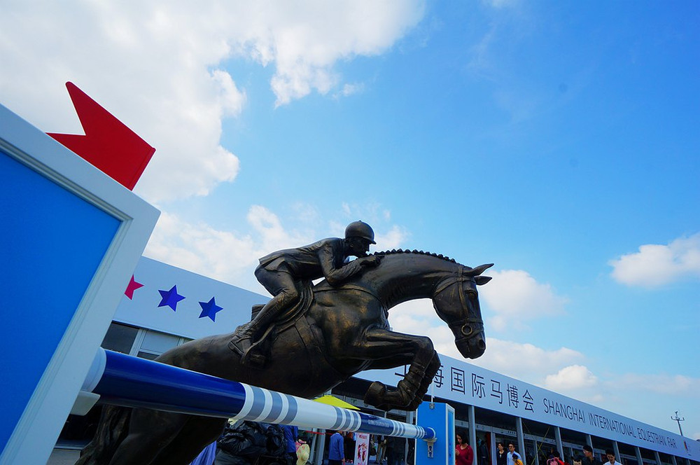 2015,来上海看赛马