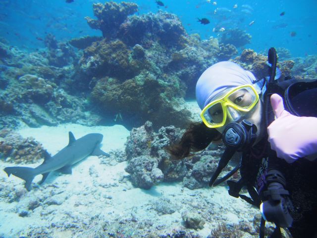 71马来西亚·亚庇·仙本那潜水之旅>>上帝遗落的蓝色眼泪 - 仙本那