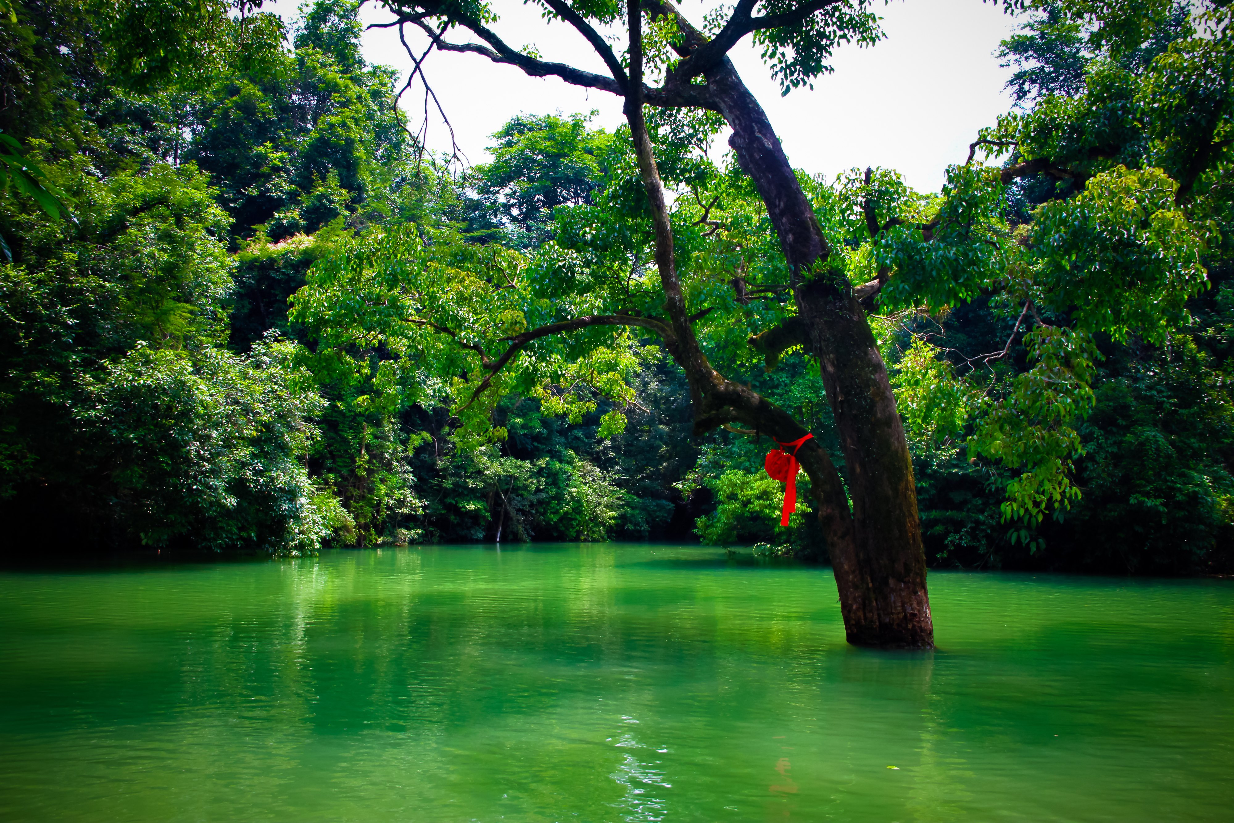 贵阳 荔波5日自由行·小七孔美景峰峦叠翠,溪流纵横(高铁往返)