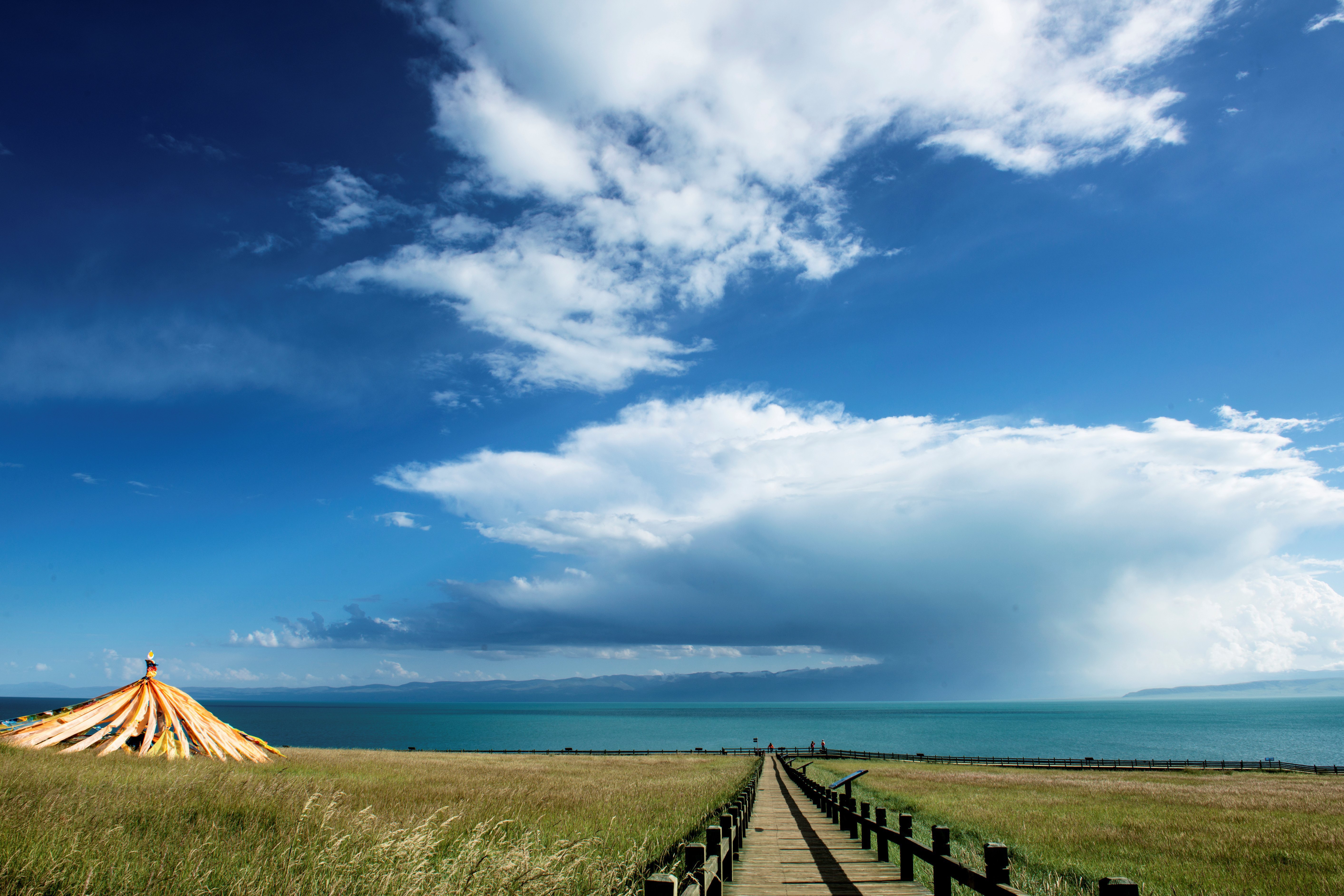 西宁 青海湖 拉萨 布达拉宫 林芝 大峡谷 日喀则 羊卓雍措 纳木措12日