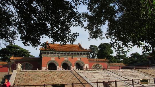 IMG_9768