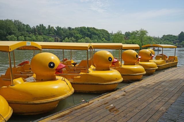 大黄鸭游船,扬州人民好爱大黄鸭啊!