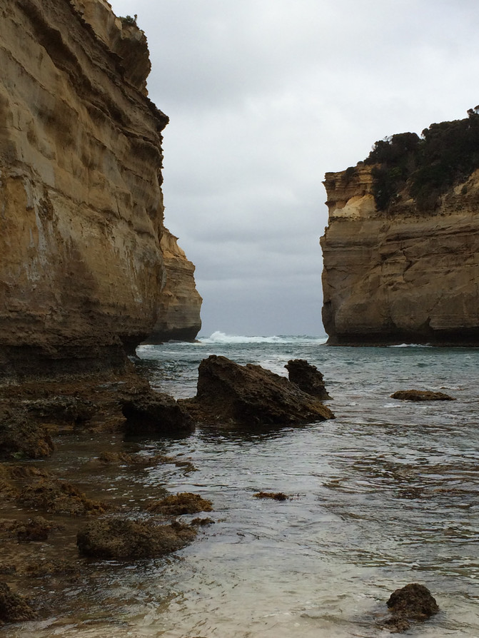 在大洋洲游走--澳洲、新西兰自由行手记 - 新西