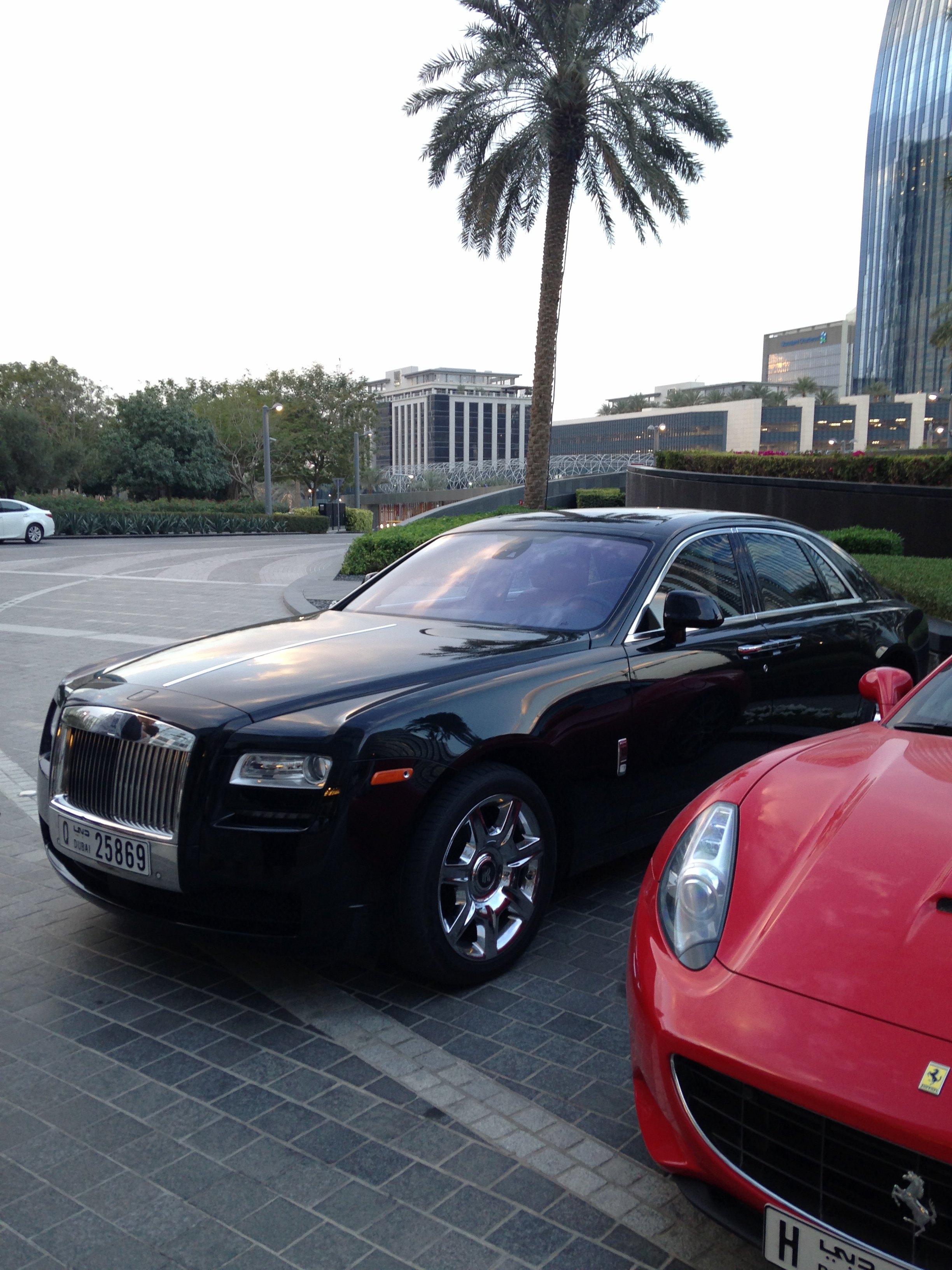 假装土豪过新年,羊羊得意游迪拜