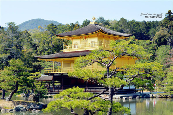 金阁寺 话说,这真是金阁!你所见之金色,都是纯金金箔所贴就.