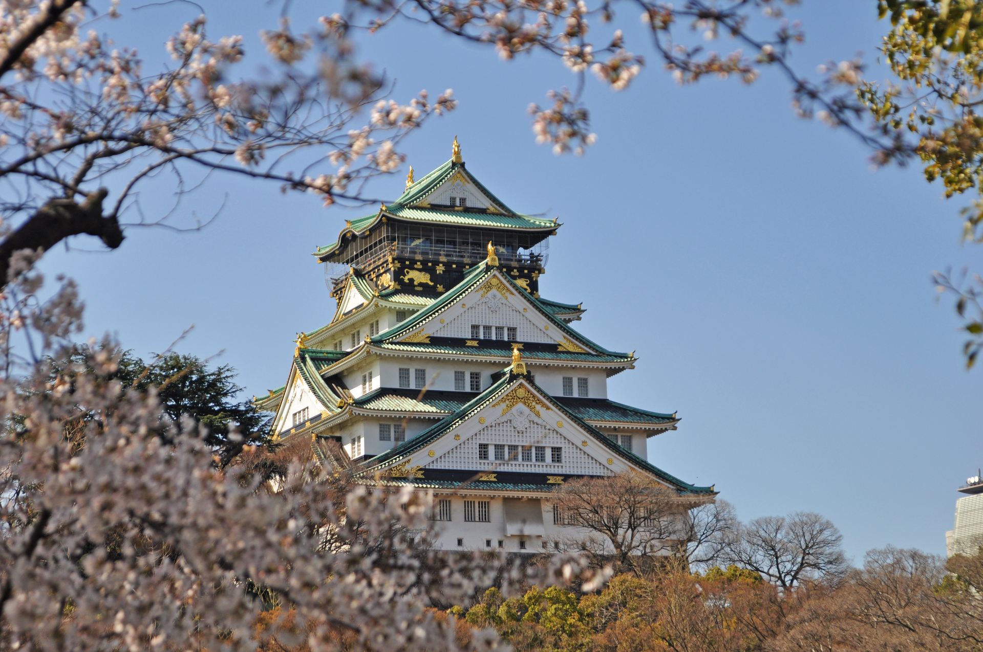 日本旅游趋势变化与展望