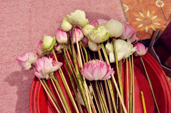 【清迈】看似一幅画,听像一首歌