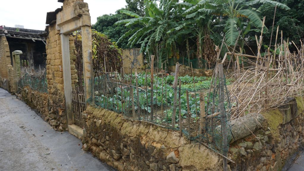 我的家乡在揭阳龙尾新丰村