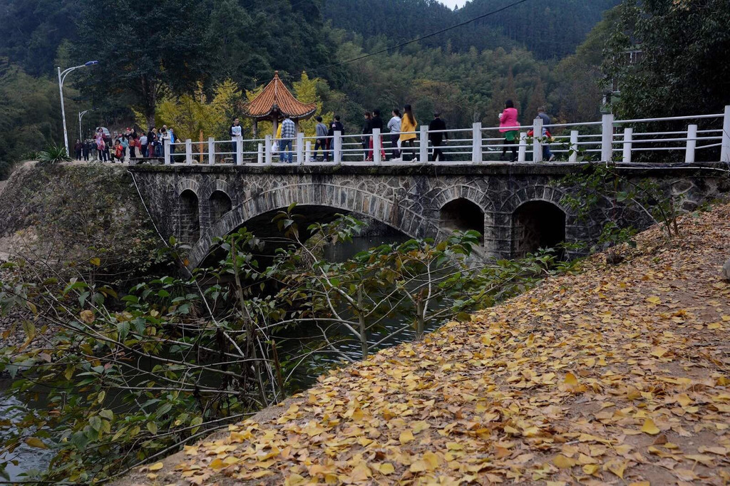 南雄帽子峰林场