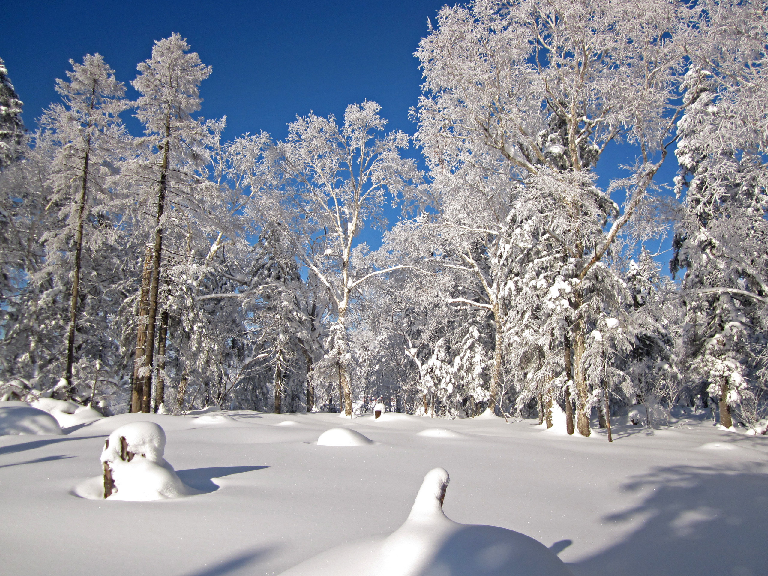 雪谷