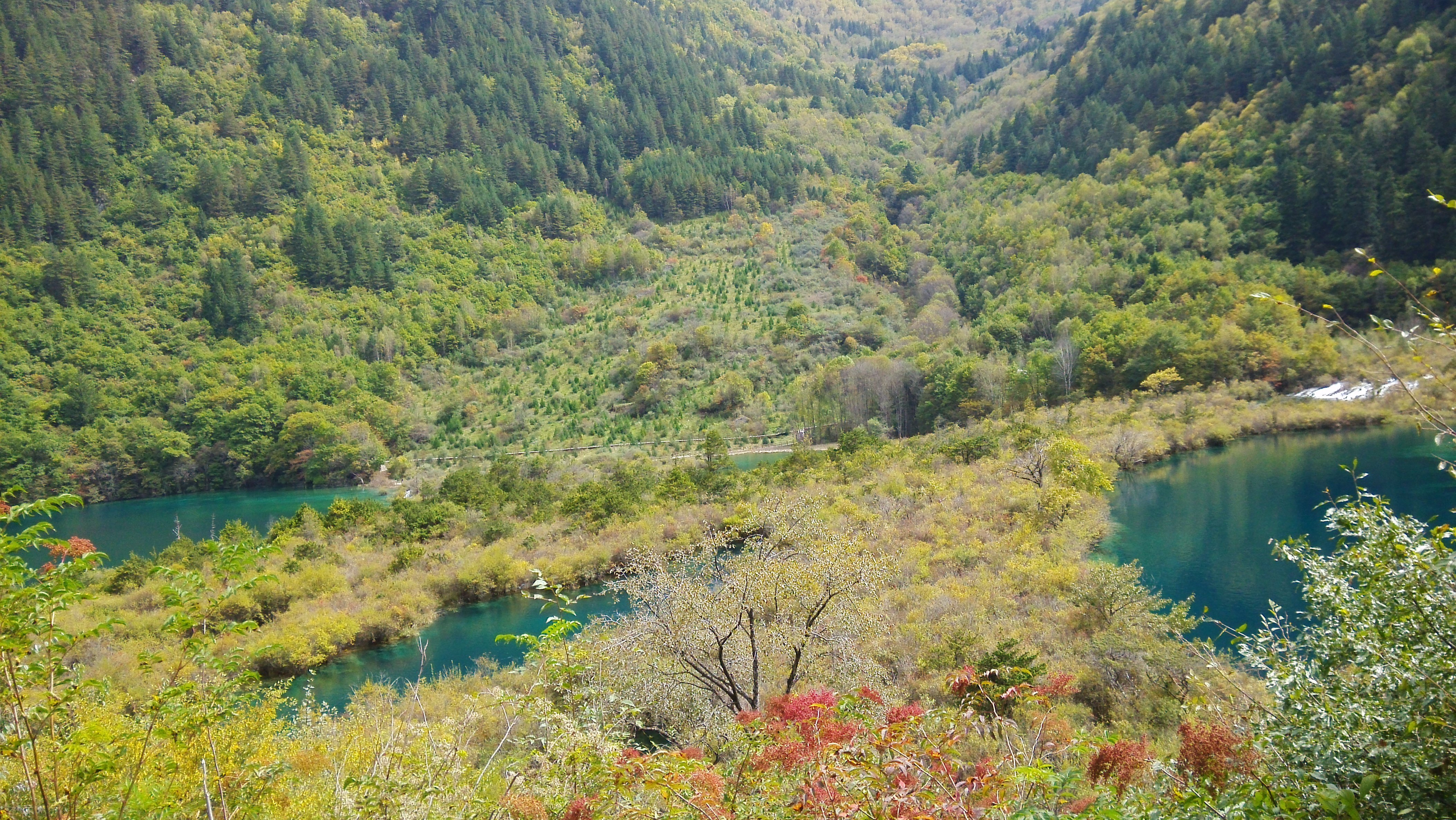 轉山轉水轉九寨,只為與你再次相見——成都九寨故地重遊(附詳細進溝