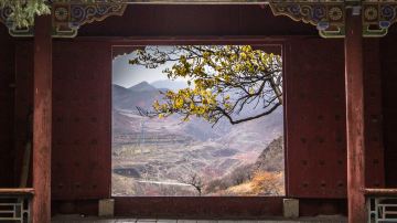 IMG_2527