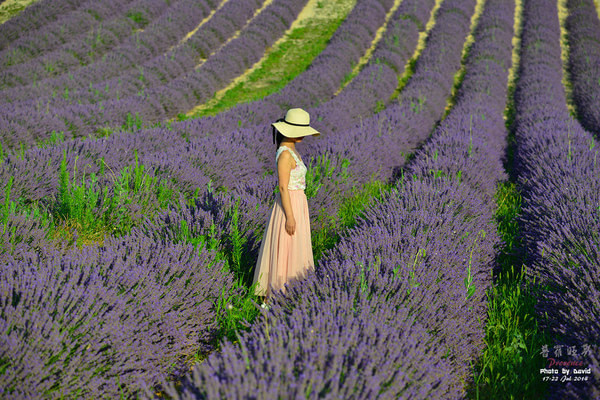食色--自驾尼斯、普罗旺斯、阿尔勒,巴塞罗那游