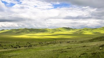 IMG_8108