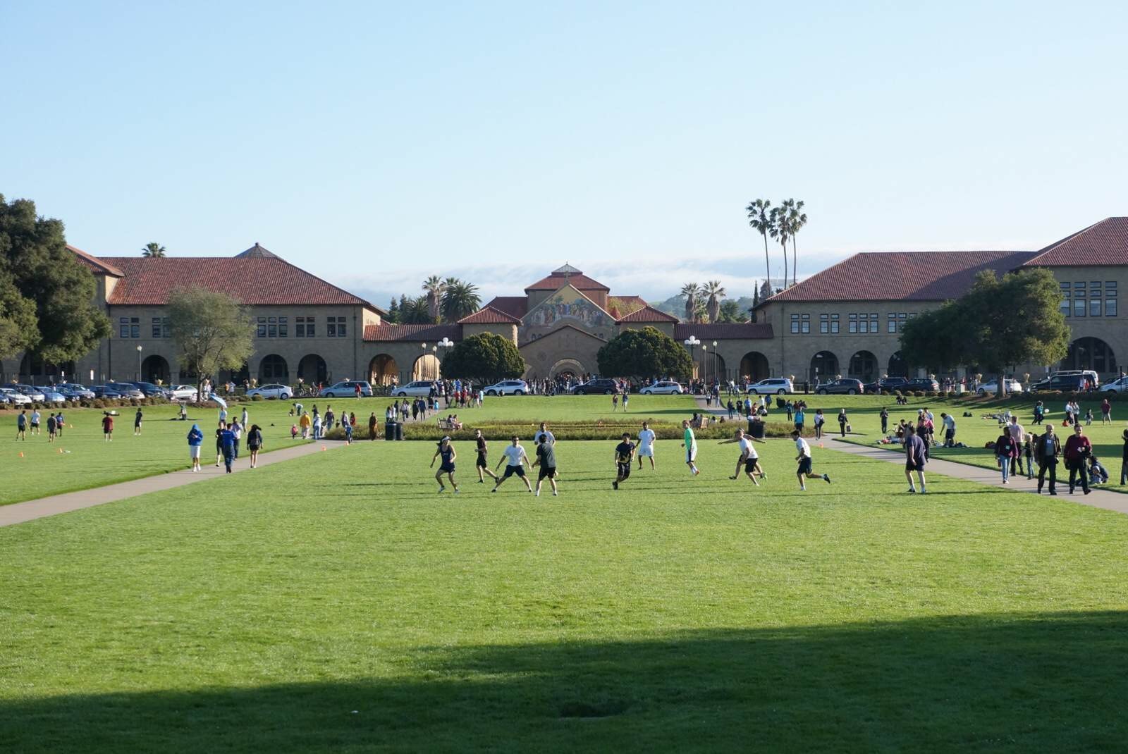 校园的大草坪十分壮观 斯坦福大学