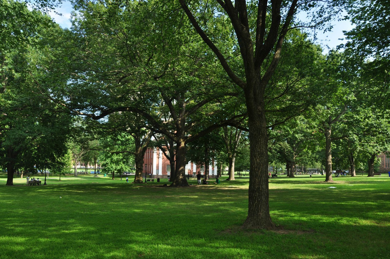 走进校园似曾相识,很多美国电影中看过的场景,古树参天,草坪巨大,建筑