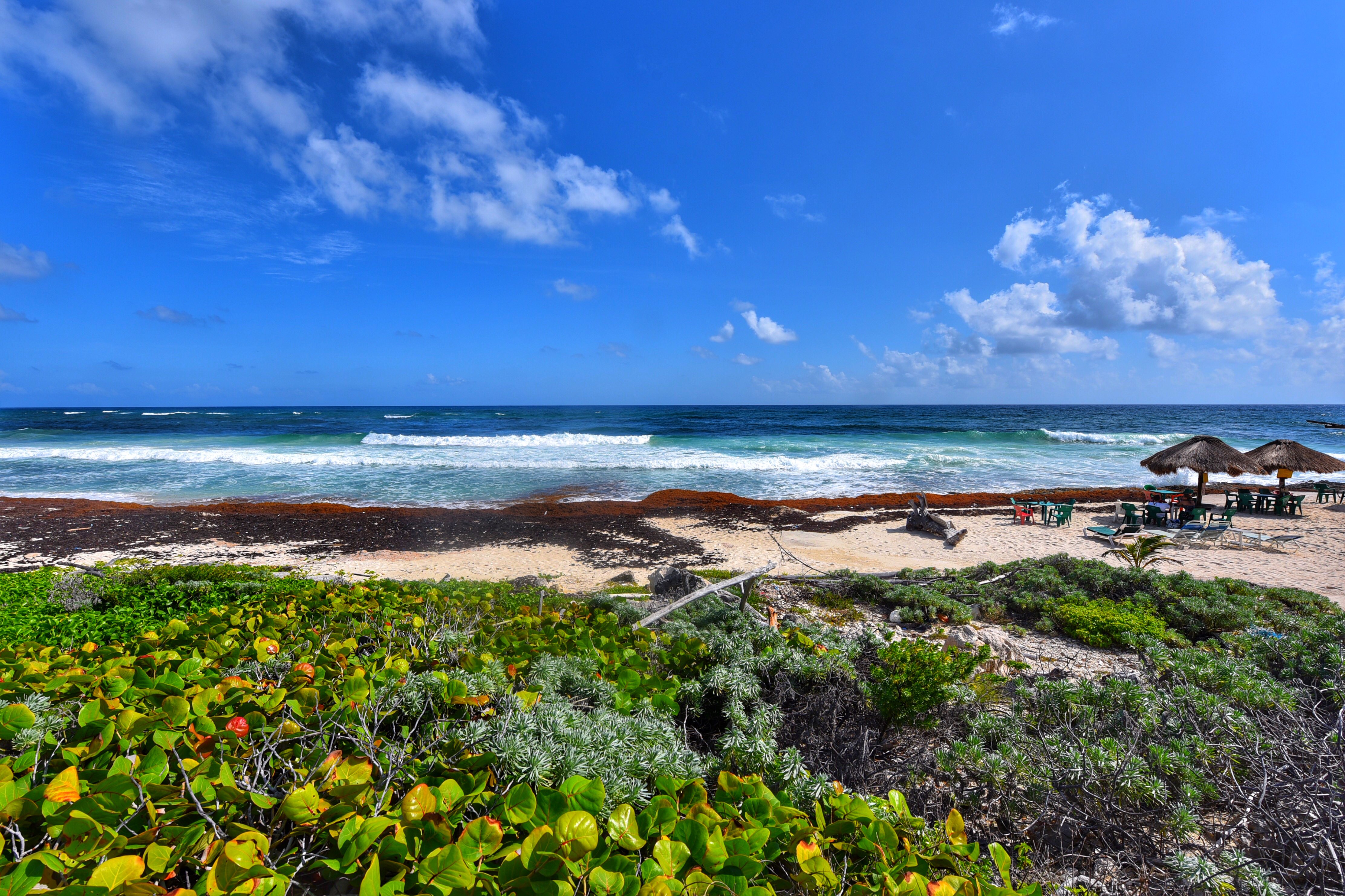 加勒比海8天6晚邮轮风情之旅(罗德岱堡 巴哈马 牙买加 墨西哥 迈阿密)