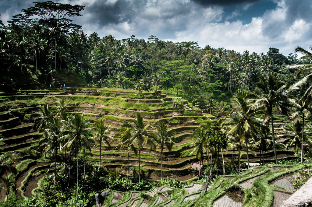感受不一样的印尼——西爪哇旅游