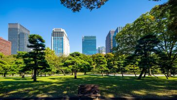 【樱花季推荐】日本东京皇居、银座、丸之内天