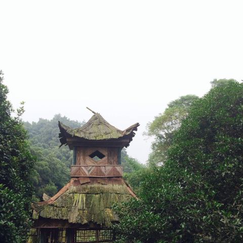 秦人村
