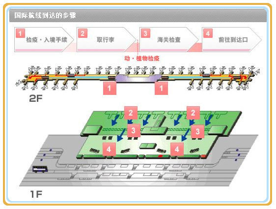 报关转人口_人口普查(3)