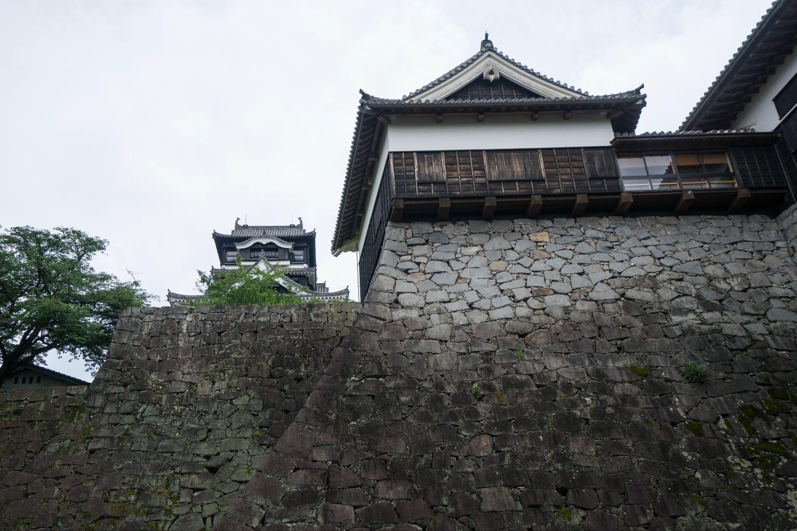 天守閣背面 熊本城