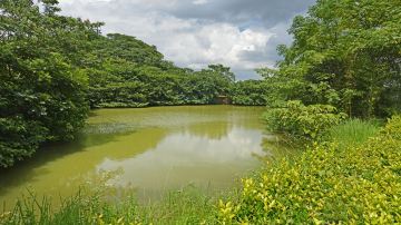 下渚湖 (3)