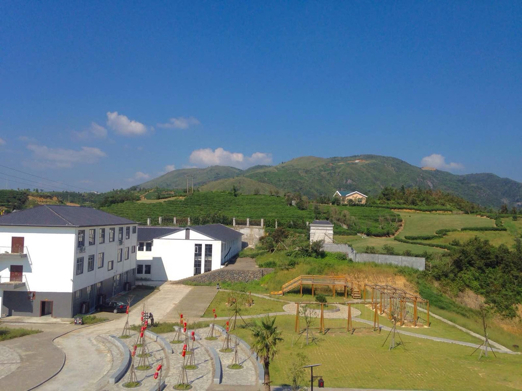 中国最美茶园--五凤香茗园游记