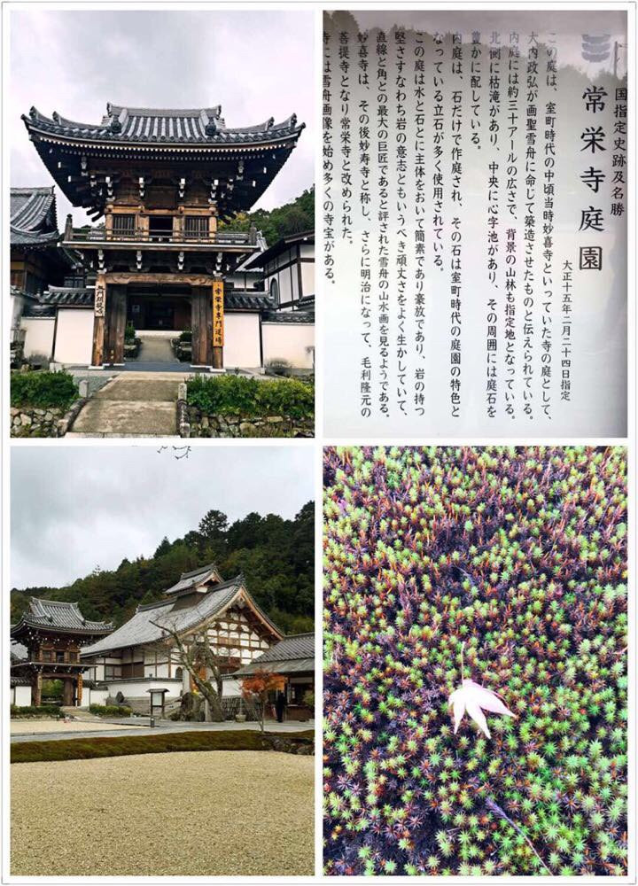 ⛺️ 不走寻常路 ····· IN 山口県 ♨️😋 - 山口县游记攻略【携程攻略】