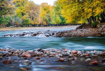 新疆伊犁库尔德宁景区一日游【天然氧吧】【可选小团全程安排5-7座车，像自驾游一样舒适自由看风景；】