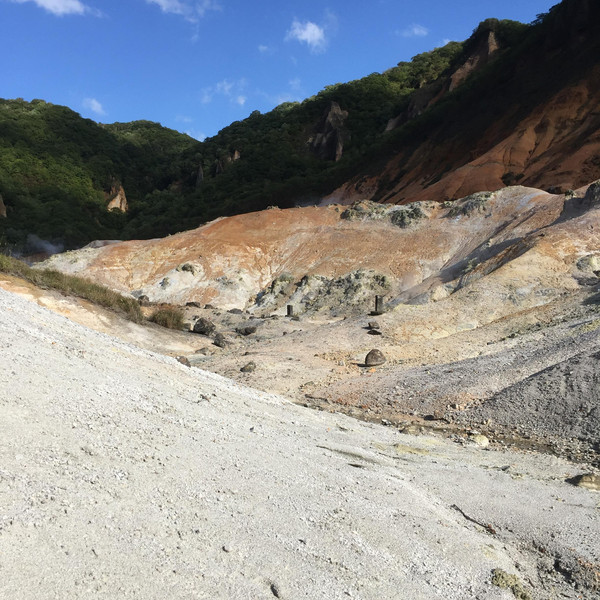 灰白和褐色的岩層加上許多地熱自地底噴出,形成特殊的火山地形景觀