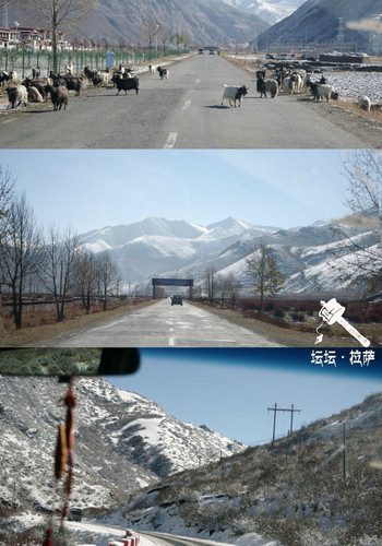 拉萨旅游人口_拉萨旅游穿衣搭配图片