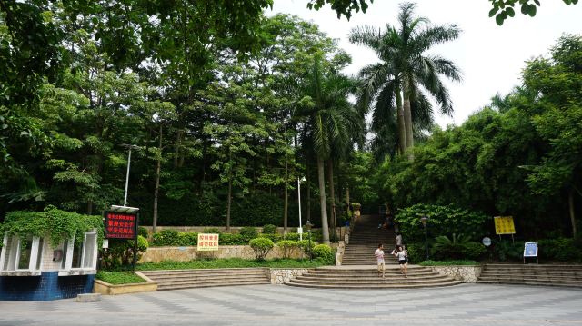 广东七城市17日旅行攻略(深圳、珠海、肇庆、