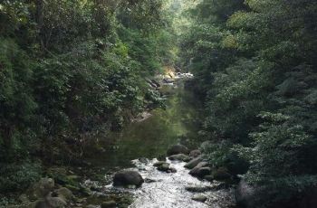 照母山森林公园坐几号线 CggYHlYN1AaARgy7AAMBuZRMMGE650_C_350_230.jpg