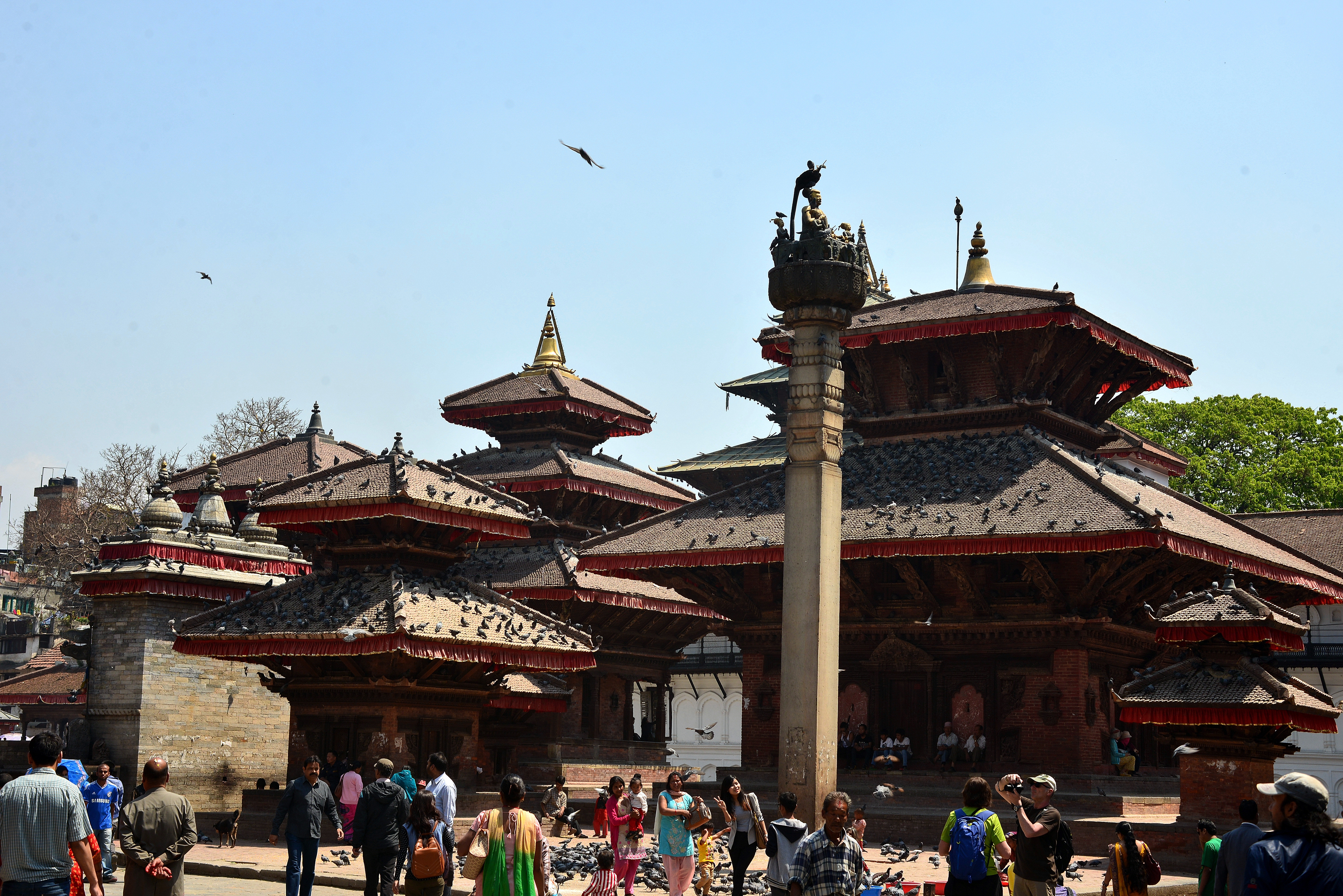 尼泊尔: 加德满都--健行潘恩山--博卡拉--奇旺国家公园--蓝毗尼