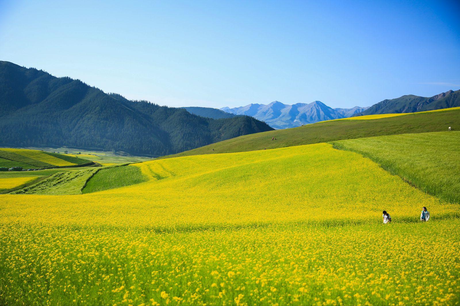 卓尔山壁纸,卓尔山,卓尔山在哪(第4页)_大山谷图库